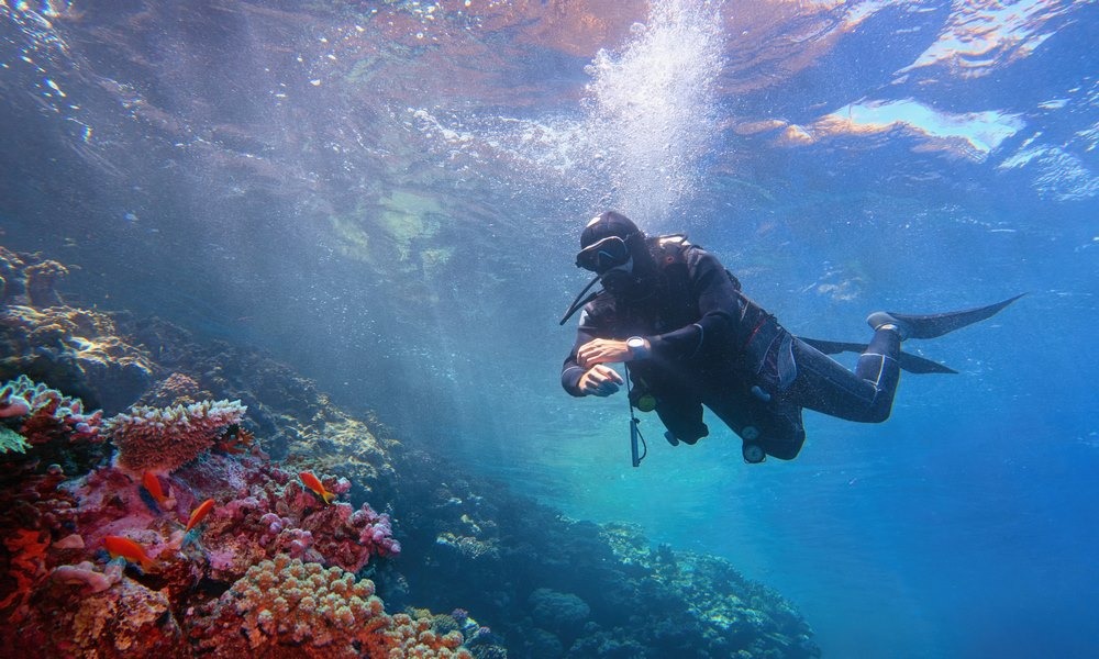 Diver in blue water