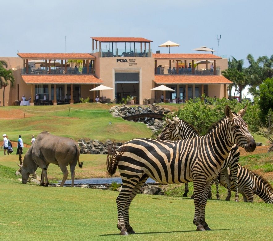 Vipingo Ridge Golf Kenya