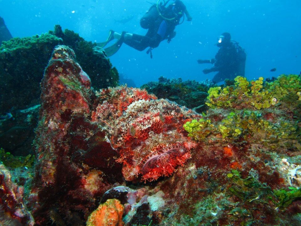 Marine biology and education camp in Kenya — students studying marine science and coral