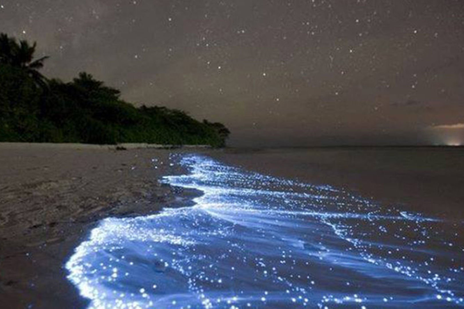 Stunning Kilifi Creek - illuminated by bioluminescent algae