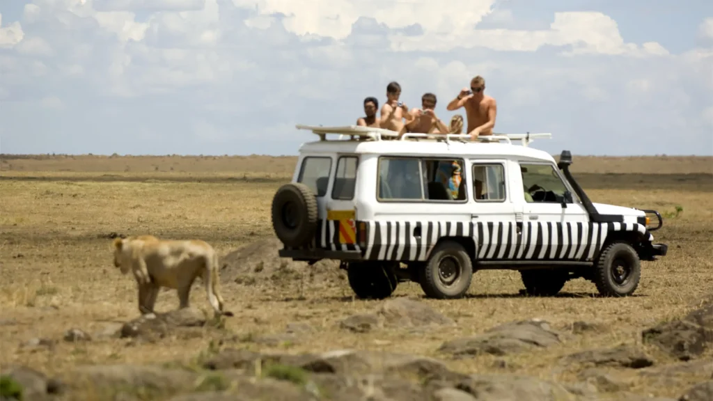 Popular Kenyan Wildlife Safaris