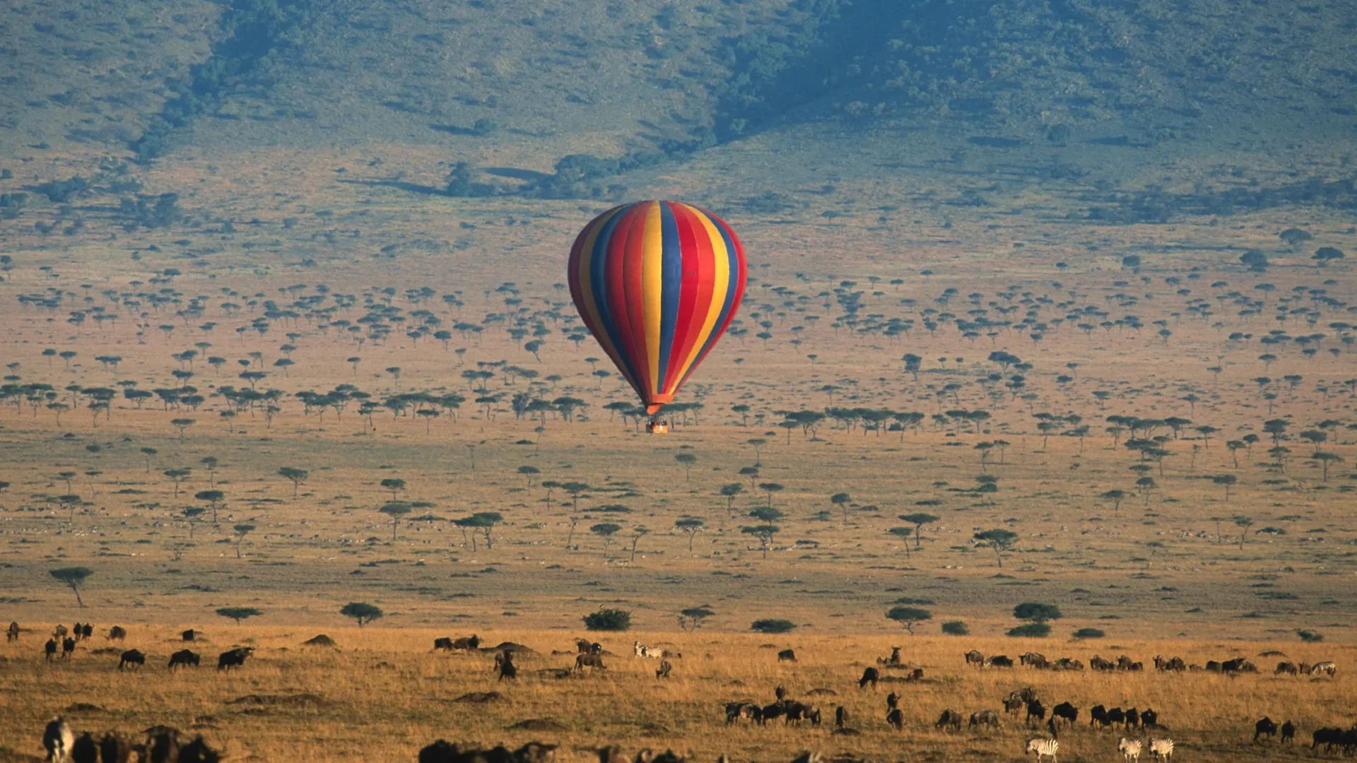 Hot Air Balloon Ride in Maasai Mara