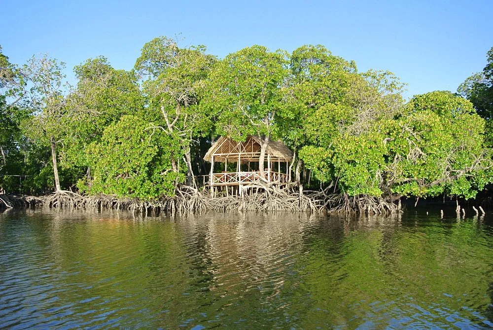 mida creek, watamu